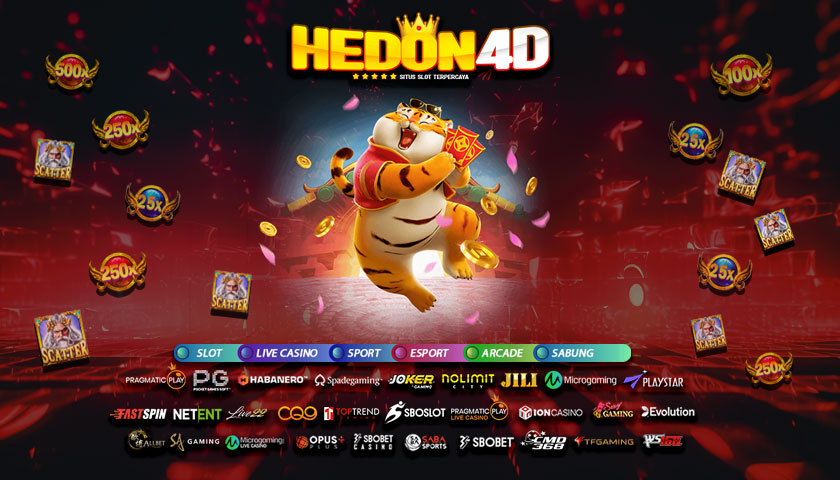 HEDON4D